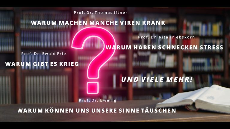 Mehr über den Artikel erfahren Digitale Kinderunis als außerschulisches Enrichment